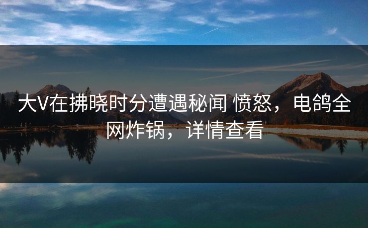 大V在拂晓时分遭遇秘闻 愤怒,电鸽全网炸锅,详情查看