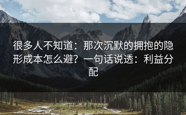 很多人不知道:那次沉默的拥抱的隐形成本怎么避?一句话说透:利益分配