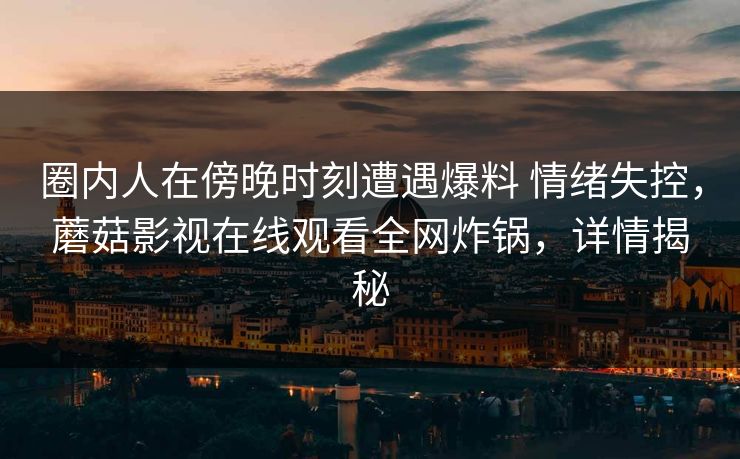 圈内人在傍晚时刻遭遇爆料 情绪失控,蘑菇影视在线观看全网炸锅,详情揭秘