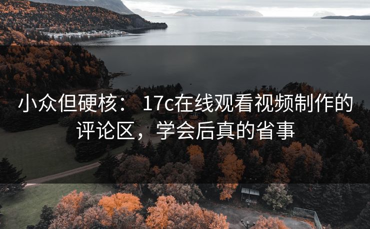 小众但硬核： 17c在线观看视频制作的评论区，学会后真的省事